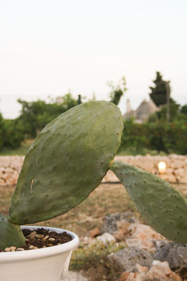 Enjoytrulli - Countryside Villa Noci Exteriör bild